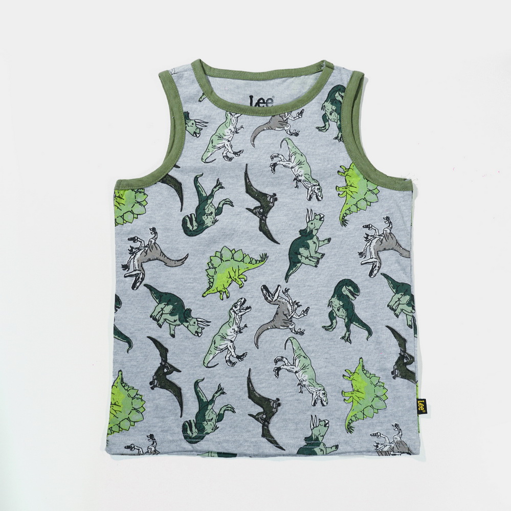 Dino Boys Gray T-Shirts