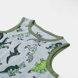 Dino Boys Gray T-Shirts