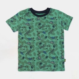 Dino Boys Green T-Shirts