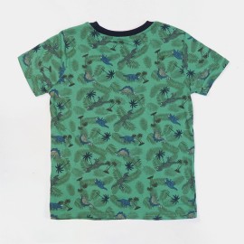 Dino Boys Green T-Shirts