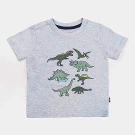 Dino Boys Light Gray T-Shirts