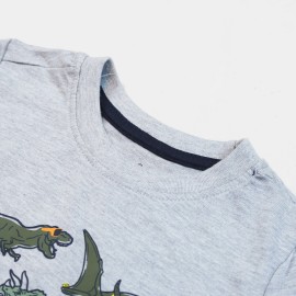 Dino Boys Light Gray T-Shirts