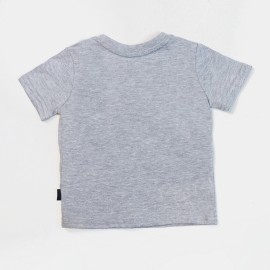 Dino Boys Light Gray T-Shirts