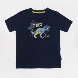 Dino Boys Black T-Shirts