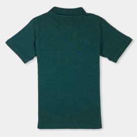 Polo-Boys-Green-Multi-Color-T-Shirts