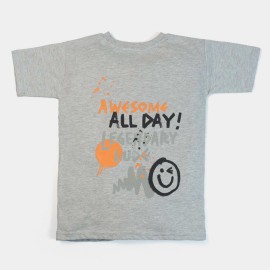 Awesome Dude Boys Light Gray T-Shirts