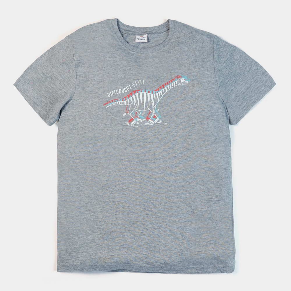 Dino Girls Gray T-Shirts