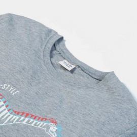 Dino Girls Gray T-Shirts