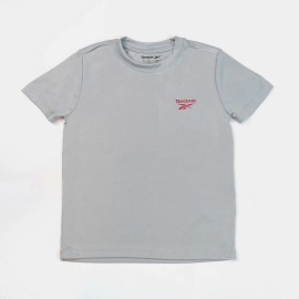 Boys and infant Gray T-Shirts