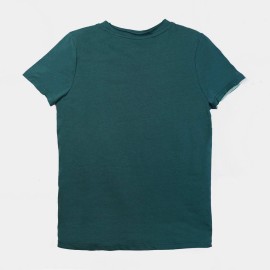 Tiger Boys Light Green T-Shirts