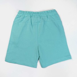 Pull On Boys Light Green Shorts