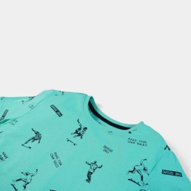 Skaters Only Boys Light Green T-Shirts
