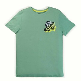 Take a Berack Boys Light Green T-Shirts