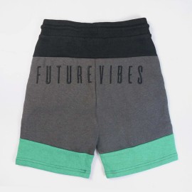 Pull On Boys Gray Shorts