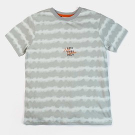 Epic Vibes Boys Light Gray T-Shirts