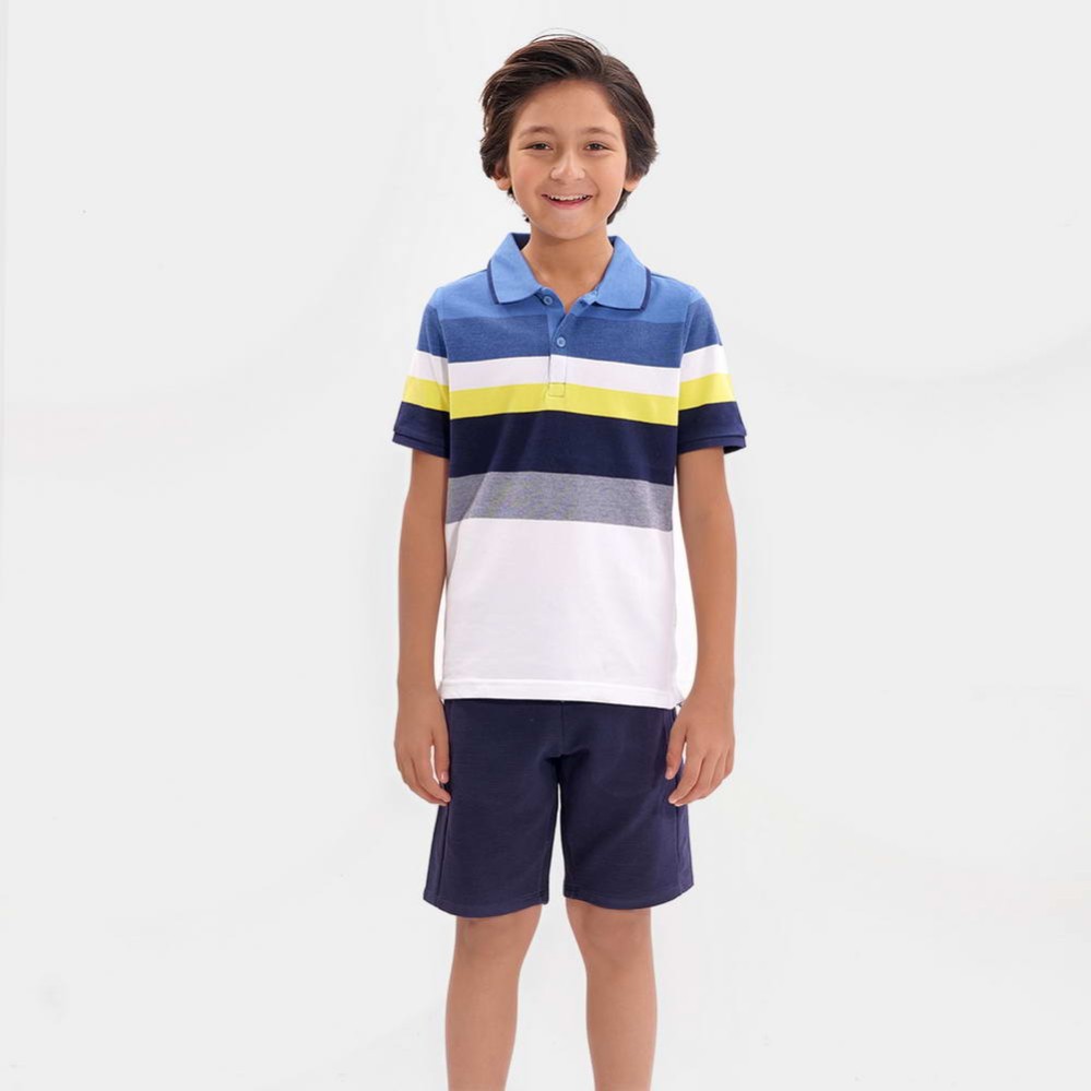 Polo Blue Boys Multi Color T-Shirts