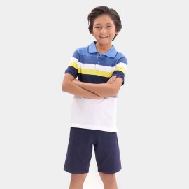 Polo Blue Boys Multi Color T-Shirts