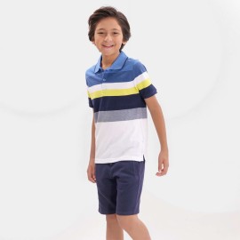 Polo Blue Boys Multi Color T-Shirts