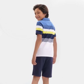 Polo Blue Boys Multi Color T-Shirts