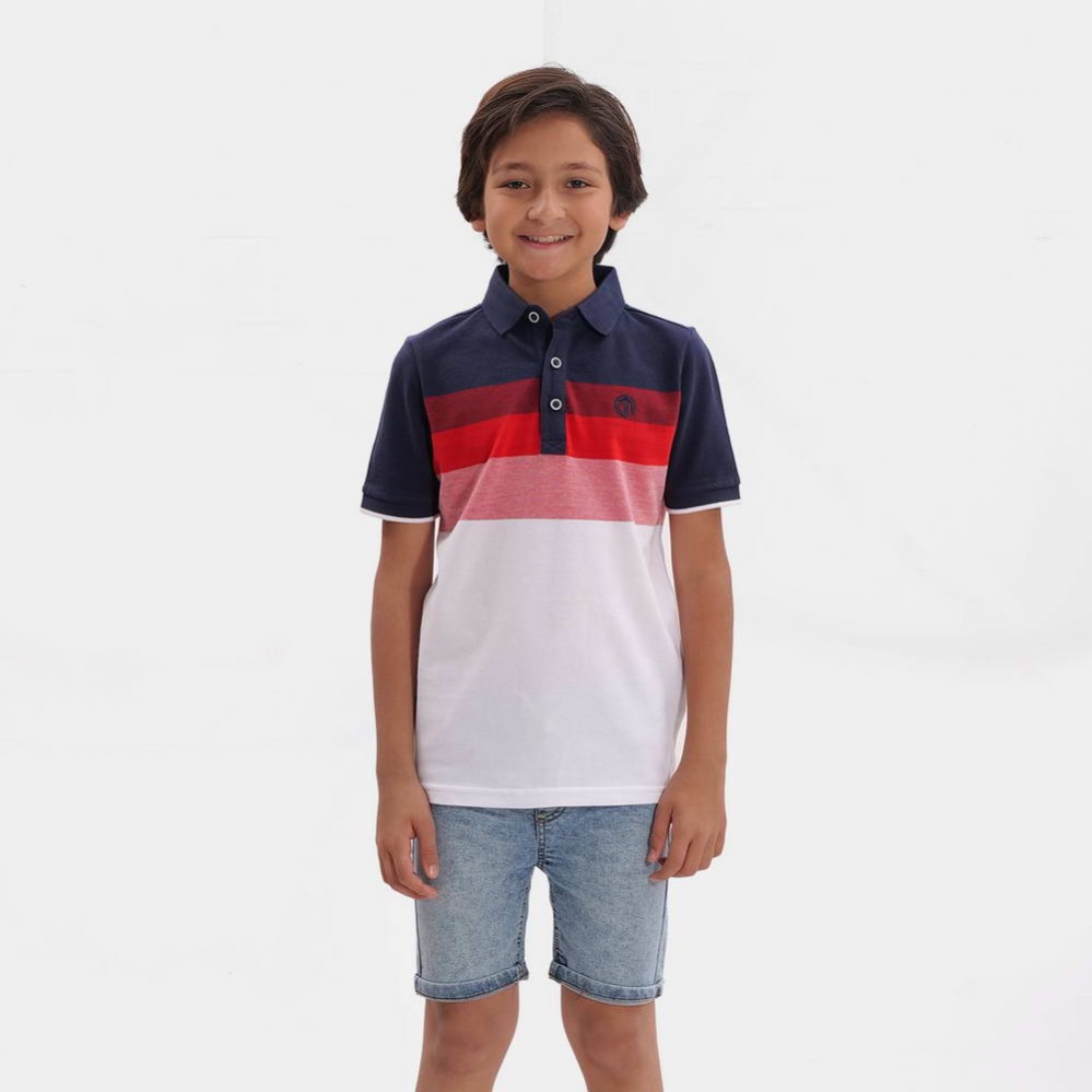 Polo Boys Multi Color T-Shirts