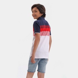 Polo Boys Multi Color T-Shirts