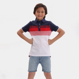 Polo Boys Multi Color T-Shirts