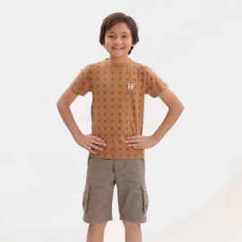 HF Boys Light Brown T-Shirts