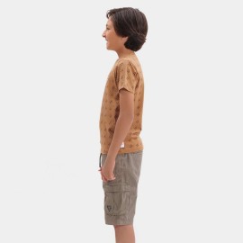 HF Boys Light Brown T-Shirts