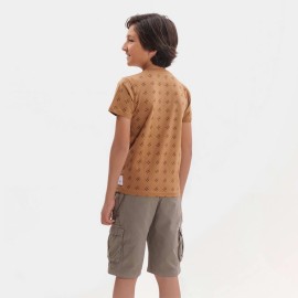 HF Boys Light Brown T-Shirts