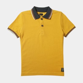 Polo-Boys-Golden-T-Shirts