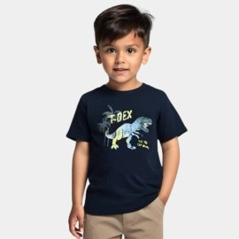 Dino Boys Black T-Shirts