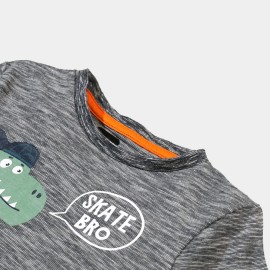 Skate Bro Boys Gray T-Shirts
