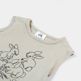 Infants-Boys-Brown-Rompers-Bunnys