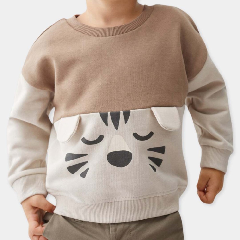 Infants_Boys_Brown_Sweetshirts Infants_Boys_Brown_Sweetshirts
