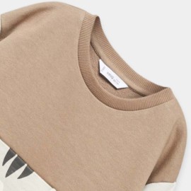 Infants_Boys_Brown_Sweetshirts